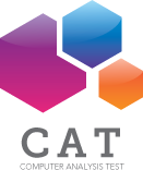 CAT - Computer Analysis Test